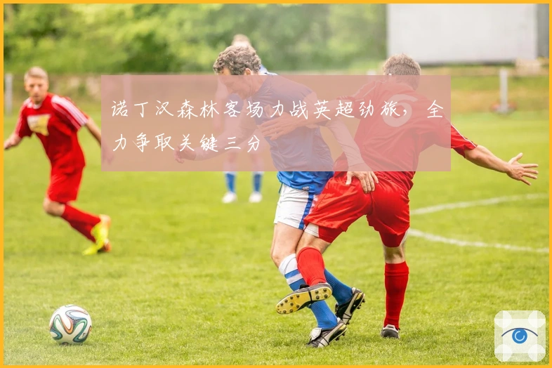 诺丁汉森林客场力战英超劲旅，全力争取关键三分