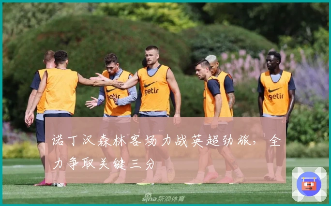 诺丁汉森林客场力战英超劲旅，全力争取关键三分