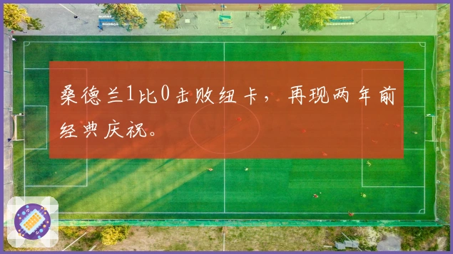 桑德兰1比0击败纽卡，再现两年前经典庆祝。